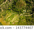 Top view forest green nature background 143774407