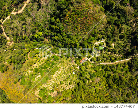 Top view forest green nature background 143774407