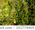 Top view forest green nature background 143774409
