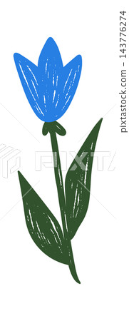 Wildflower Bloom With Grunge Texture Wildflower Bloom With Grunge Texture 143776274