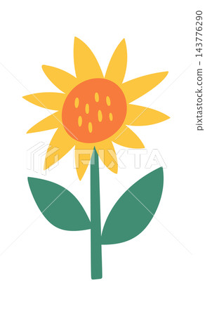 Sunflower Bloom With Leaf Cartoon Sunflower Bloom With Leaf Cartoon 143776290