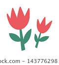 Tulip Duo Growing Cartoon Style 143776298