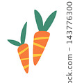 Carrot Pair With Leaves Cartoon 143776300