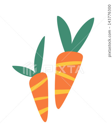 Carrot Pair With Leaves Cartoon Carrot Pair With Leaves Cartoon 143776300