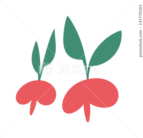 Radish Sprout Pair Minimal Shape Radish Sprout Pair Minimal Shape 143776302