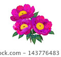A botanical illustration featuring vibrant pink and purple flowers. 143776483
