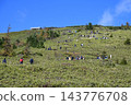 通往草津白根山湯釜展望台的健行路線 143776708