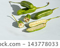 Green Fruit Pods of Aristolochia Macrophylla Dutchman Pipe Vine Isolated on White Background Top View 143778033