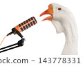 Singing goose at the microphone isolated on white background 143778331
