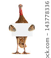 brown turkey with a leaf for text writing in day of thanksgiving 143778336