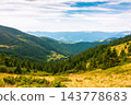 coniferous forest on a mountain slope. Ukrainian Carpathians in summertime. Chornohora ridge. forested dale beneath an overcast vault. lush greenery. view from mountain top 143778683
