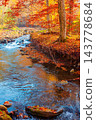 landscape in mountains, forest and a river in front. beautiful view in autumn. fresh water in the beech forest of Carpathian mountains. sunny weather, rocky shore 143778684