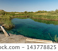 Onere's spring, a clear blue-green surrounded by reeds. 143778825