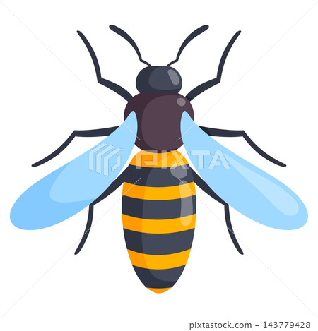 Cute striped honeybee in flight for garden pollination posters honey branding and educational insect materials Cute striped honeybee in flight for garden pollination posters honey branding and educational insect materials 143779428