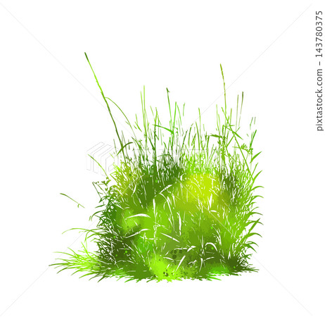 Grass green silhouette vector isolated on white background nature design illustration of grass plant pattern greenery artwork Hand drawn. Not AI, vector illustration. 143780375