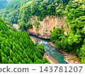 一條美麗的河流，周圍環繞著新鮮的綠色植物 143781207