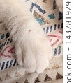 I also want to get the help of a cat 143781929