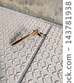 Mantis to predate 143781938