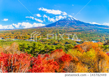 山梨縣：從紅葉台眺望，青木原森林和富士山被秋色染成一片火紅。 143782449