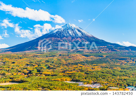 山梨縣：從紅葉台眺望，青木原森林和富士山被秋色染成一片火紅。 143782450