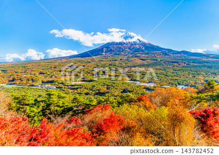 Yamanashi: Aokigahara Forest and Mt. Fuji ablaze with autumn colors - viewed from Momijidai (Maple Leaf Viewing Platform) Yamanashi: Aokigahara Forest and Mt. Fuji ablaze with autumn colors - viewed from Momijidai (Maple Leaf Viewing Platform) 143782452