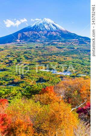 山梨縣:從紅葉台眺望,青木原森林和富士山被秋色染成一片火紅。 山梨縣:從紅葉台眺望,青木原森林和富士山被秋色染成一片火紅。 143782461
