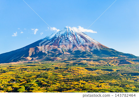 山梨縣：從紅葉台眺望，青木原森林和富士山被秋色染成一片火紅。 143782464