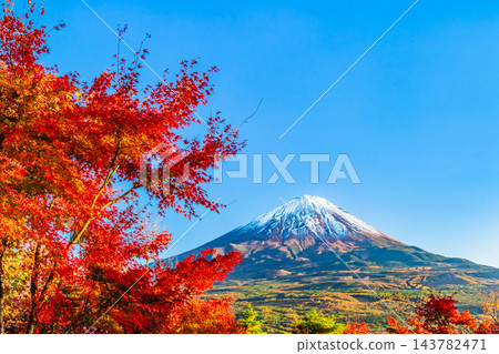 山梨縣:從紅葉台眺望,青木原森林和富士山被秋色染成一片火紅。 山梨縣:從紅葉台眺望,青木原森林和富士山被秋色染成一片火紅。 143782471