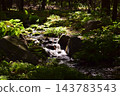 A stream in a park in Gunma Prefecture. 143783543