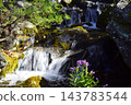 A stream in a park in Gunma Prefecture. 143783544