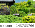 京都，山科，觀修寺，燈籠，繡球花 143783766