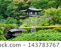 京都，山科，觀修寺，燈籠，繡球花 143783767