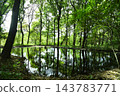 Pond in a park in Gunma Prefecture 143783771