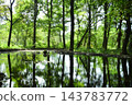 Pond in a park in Gunma Prefecture 143783772