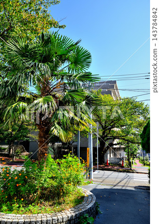 東京消防局消防學院，東京都澀谷區西原 143784842