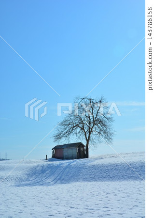 越後雪通過冬季景觀 越後雪通過冬季景觀 143786158