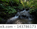 A small stream that flows along the No. 6 trail on Mount Takao in Tokyo. 143786173