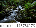 A small stream that flows along the No. 6 trail on Mount Takao in Tokyo. 143786175