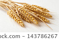 Barley wheat in the glasses vase for home decoration 143786267