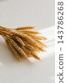 Barley wheat in the glasses vase for home decoration 143786268