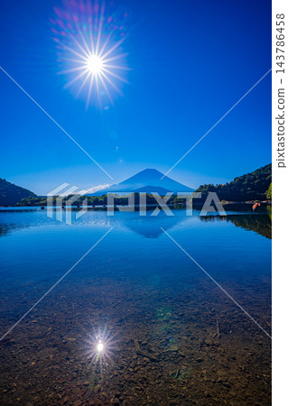 [Yamanashi Prefecture] Mount Fuji visible beyond the windless surface of Lake Shoji in autumn. 143786458