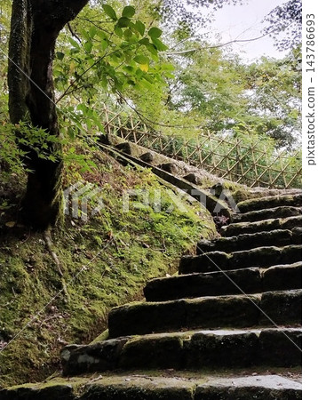 熊本縣人吉城遺址，苔蘚覆蓋的石階和鬱鬱蔥蔥的樹木。 143786693