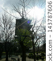 冬日傍晚，東寺五重塔（京都，冬季） 143787606