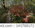 Autumn boardwalk and red-colored leaves on Mt. Yakeishi 143788171