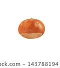 Chestnut color illustration [transparent background] 143788194