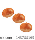Chestnut color illustration [transparent background] 143788195