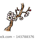 日式梅花插畫 143788376