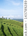 Vertical View of Green Terraced Rice Fields with Morning Fog at Pa Bong Piang 143789289