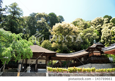 天山金剛寺(五佛堂、禦影堂)【大阪府河內長野市】 天山金剛寺(五佛堂、禦影堂)【大阪府河內長野市】 143789661