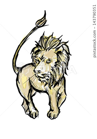 Lion's walk 143790351